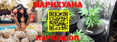 крисы Краснознаменск