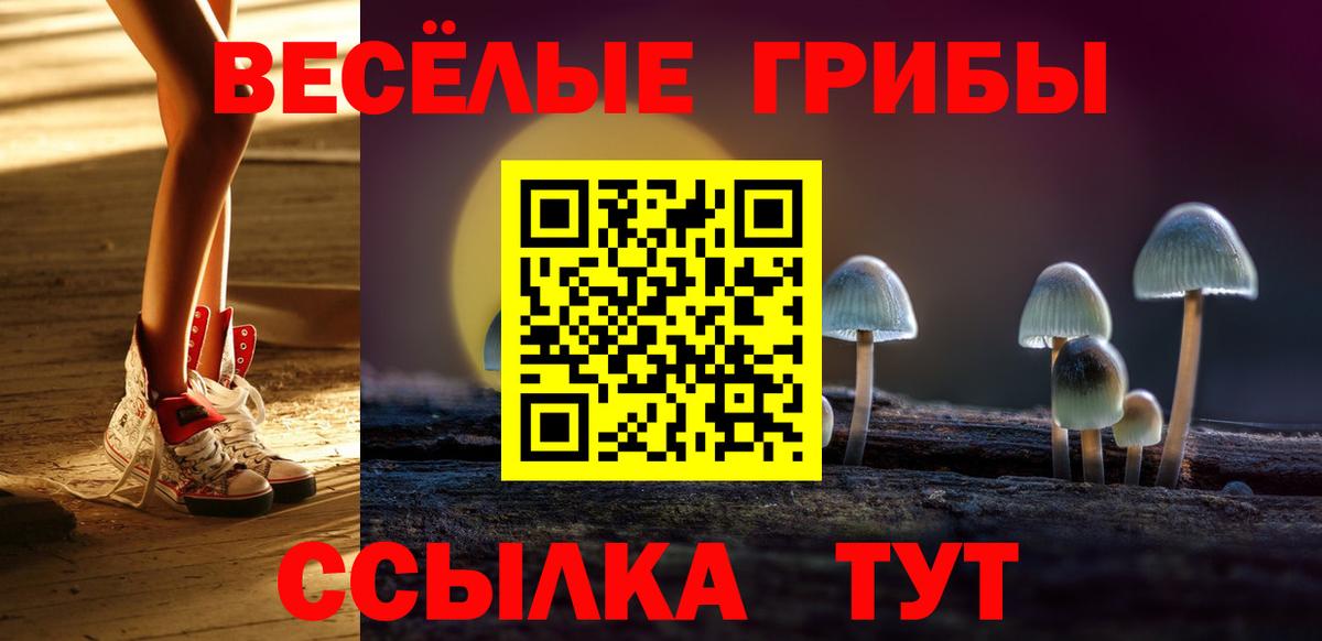 Галлюциногенные грибы GOLDEN TEACHER  Вход с VPN  Галлюциногенные грибы Psilocybine cubensis  Ейск 